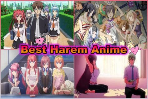 hanime sexy|55+ Harem Anime Ranked (Personal Favorites) .